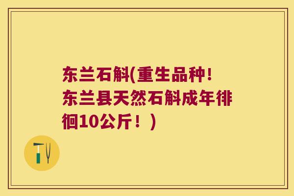 东兰石斛(重生品种！东兰县天然石斛成年徘徊10公斤！)