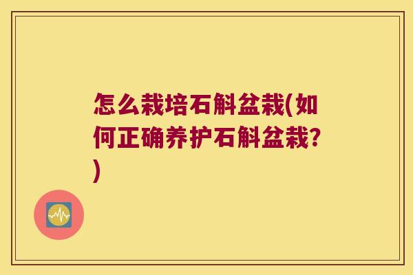 怎么栽培石斛盆栽(如何正确养护石斛盆栽？)