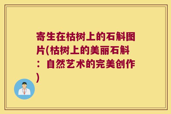 寄生在枯树上的石斛图片(枯树上的美丽石斛：自然艺术的完美创作)