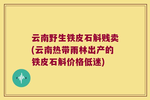 云南野生铁皮石斛贱卖(云南热带雨林出产的铁皮石斛价格低迷)