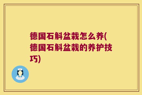德国石斛盆栽怎么养(德国石斛盆栽的养护技巧)