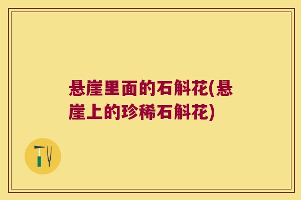 悬崖里面的石斛花(悬崖上的珍稀石斛花)