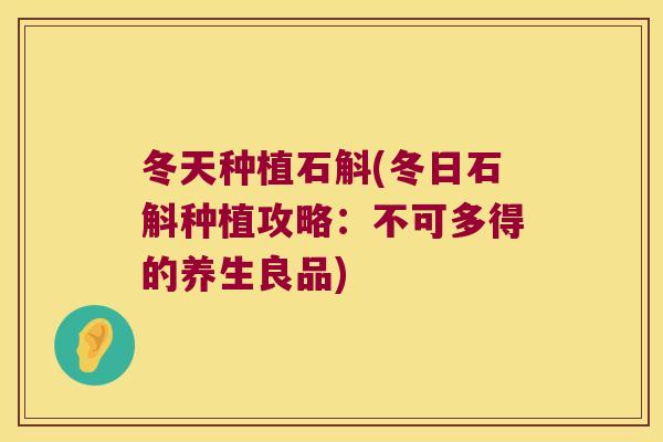 冬天种植石斛(冬日石斛种植攻略：不可多得的养生良品)