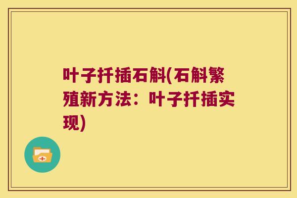 叶子扦插石斛(石斛繁殖新方法：叶子扦插实现)