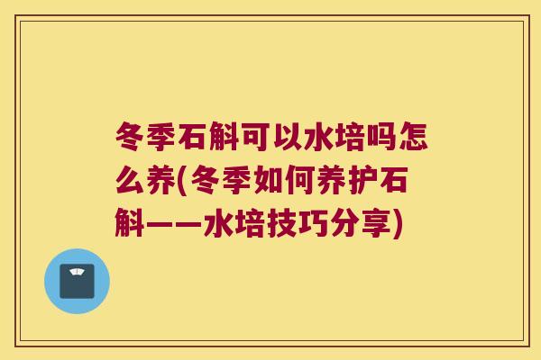 冬季石斛可以水培吗怎么养(冬季如何养护石斛——水培技巧分享)