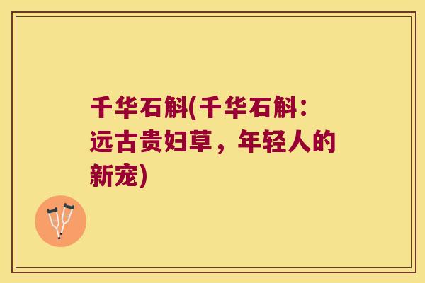 千华石斛(千华石斛：远古贵妇草，年轻人的新宠)