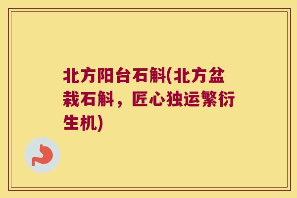 北方阳台石斛(北方盆栽石斛,匠心独运繁衍生机) 北方阳台石斛(北方盆栽石斛,匠心独运繁衍生机)