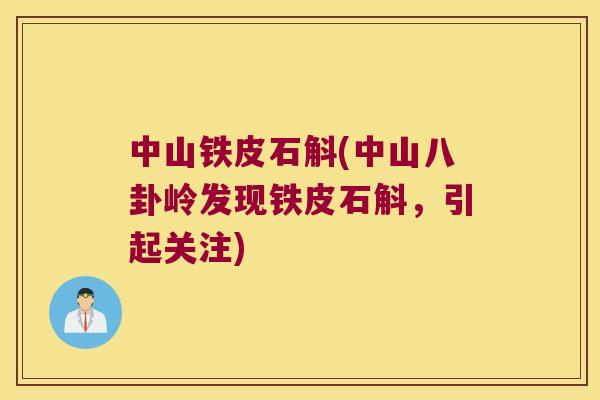 中山铁皮石斛(中山八卦岭发现铁皮石斛，引起关注)