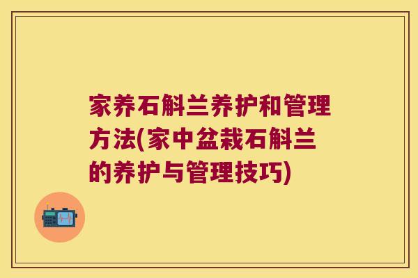 家养石斛兰养护和管理方法(家中盆栽石斛兰的养护与管理技巧)