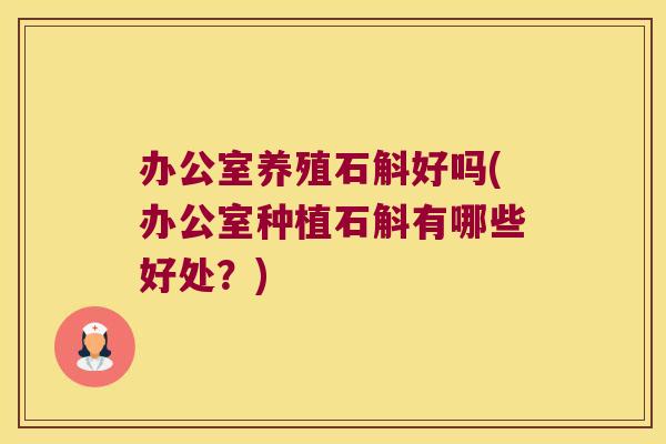 办公室养殖石斛好吗(办公室种植石斛有哪些好处？)