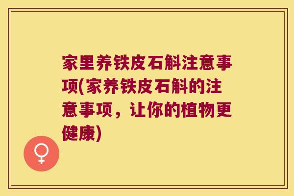 家里养铁皮石斛注意事项(家养铁皮石斛的注意事项，让你的植物更健康)