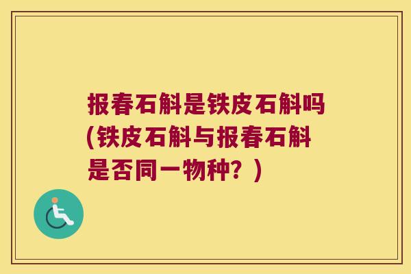 报春石斛是铁皮石斛吗(铁皮石斛与报春石斛是否同一物种?) 报春石斛是铁皮石斛吗(铁皮石斛与报春石斛是否同一物种?)
