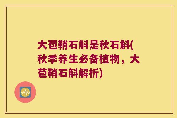 大苞鞘石斛是秋石斛(秋季养生必备植物，大苞鞘石斛解析)