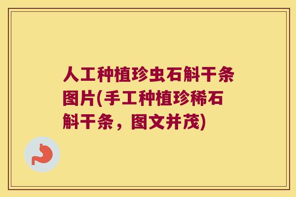 人工种植珍虫石斛干条图片(手工种植珍稀石斛干条，图文并茂)