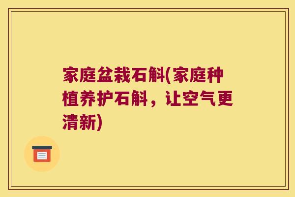 家庭盆栽石斛(家庭种植养护石斛，让空气更清新)