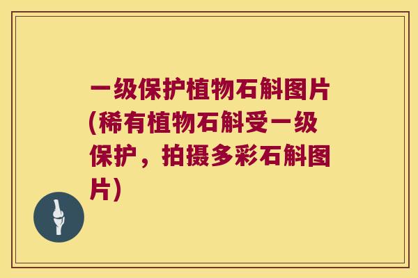 一级保护植物石斛图片(稀有植物石斛受一级保护，拍摄多彩石斛图片)