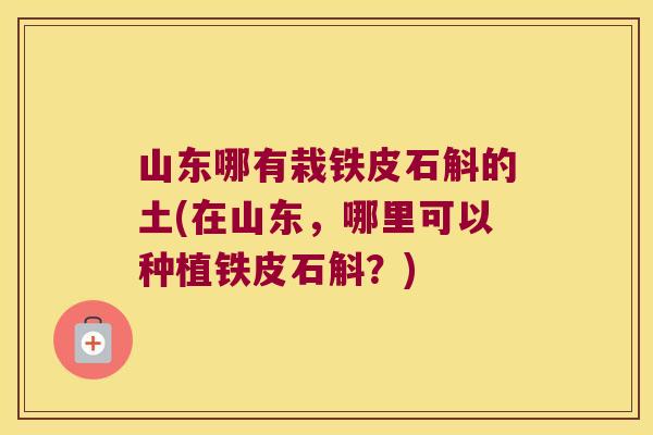 山东哪有栽铁皮石斛的土(在山东，哪里可以种植铁皮石斛？)