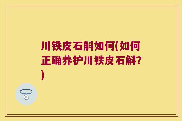 川铁皮石斛如何(如何正确养护川铁皮石斛？)