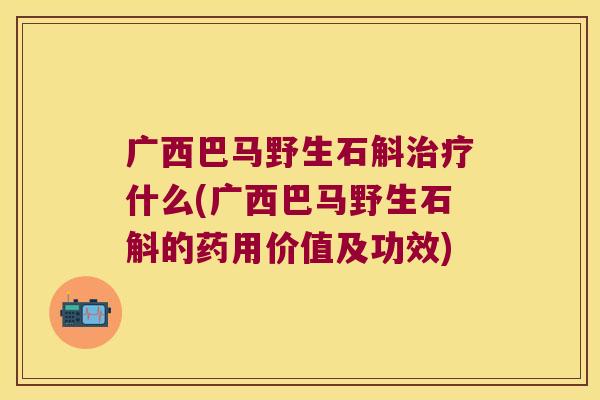 广西巴马野生石斛治疗什么(广西巴马野生石斛的药用价值及功效)