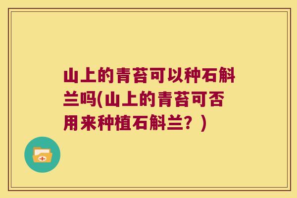 山上的青苔可以种石斛兰吗(山上的青苔可否用来种植石斛兰？)