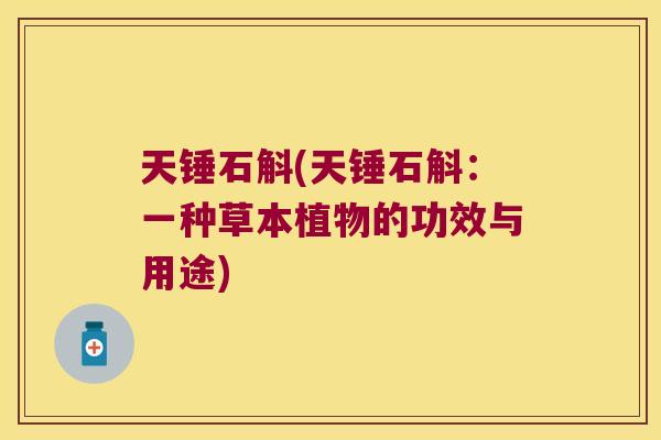 天锤石斛(天锤石斛：一种草本植物的功效与用途)