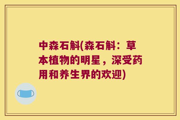 中森石斛(森石斛：草本植物的明星，深受药用和养生界的欢迎)