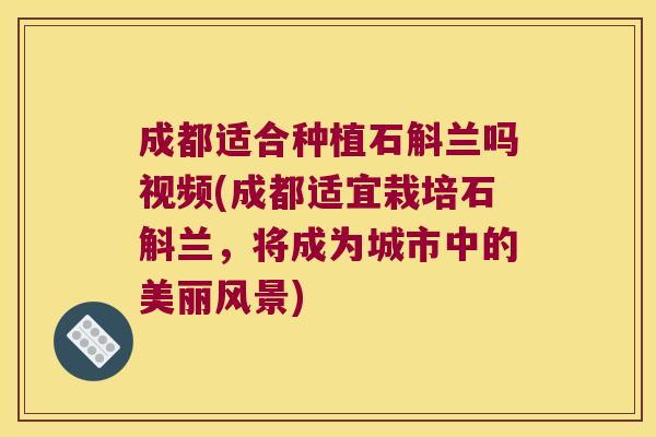 成都适合种植石斛兰吗视频(成都适宜栽培石斛兰，将成为城市中的美丽风景)