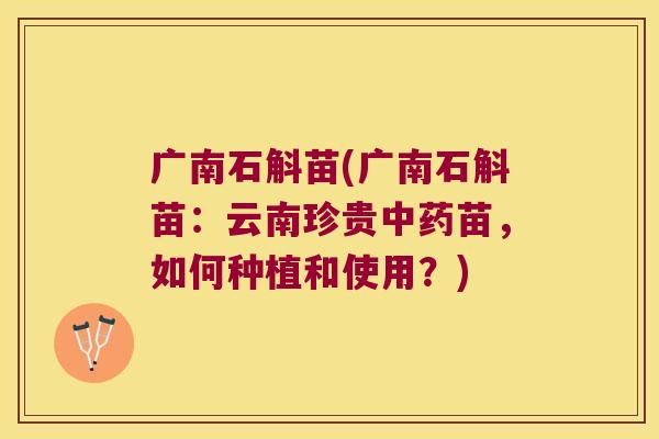 广南石斛苗(广南石斛苗：云南珍贵苗，如何种植和使用？)