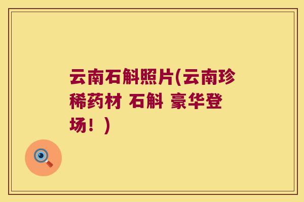 云南石斛照片(云南珍稀药材 石斛 豪华登场！)