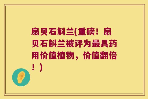扇贝石斛兰(重磅！扇贝石斛兰被评为最具药用价值植物，价值翻倍！)