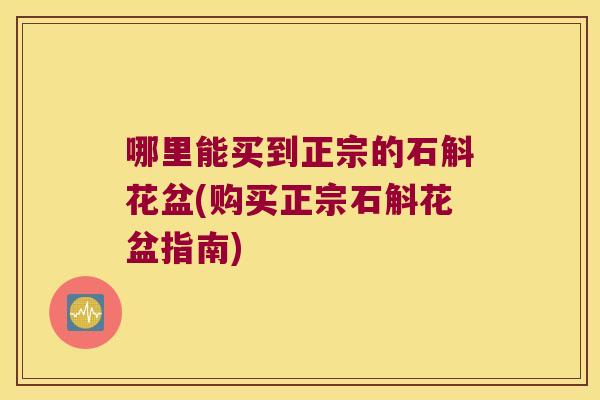 哪里能买到正宗的石斛花盆(购买正宗石斛花盆指南) 哪里能买到正宗的石斛花盆(购买正宗石斛花盆指南)