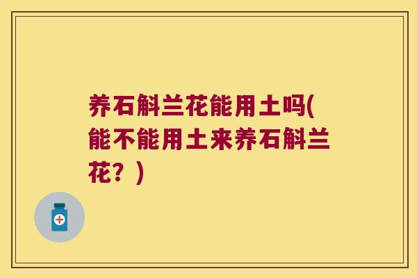 养石斛兰花能用土吗(能不能用土来养石斛兰花？)