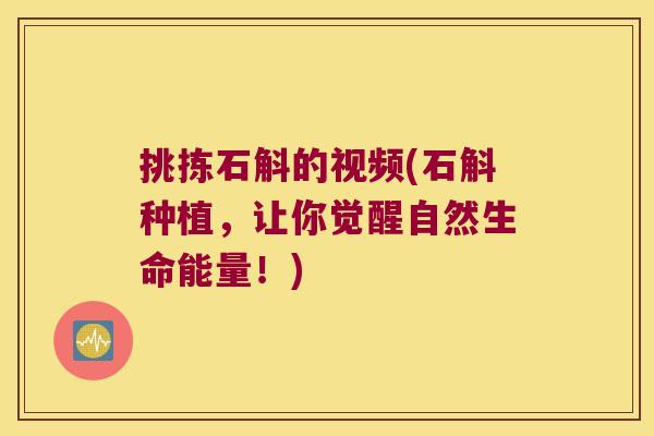挑拣石斛的视频(石斛种植，让你觉醒自然生命能量！)