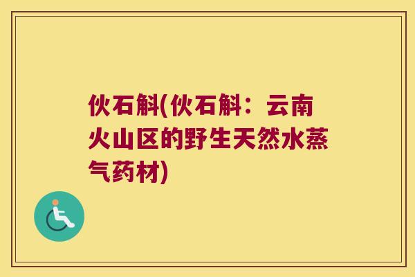 伙石斛(伙石斛：云南火山区的野生天然水蒸气药材)