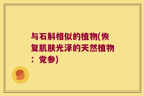 与石斛相似的植物(恢复肌肤光泽的天然植物：党参)