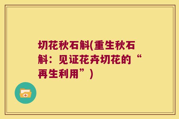 切花秋石斛(重生秋石斛：见证花卉切花的“再生利用”)