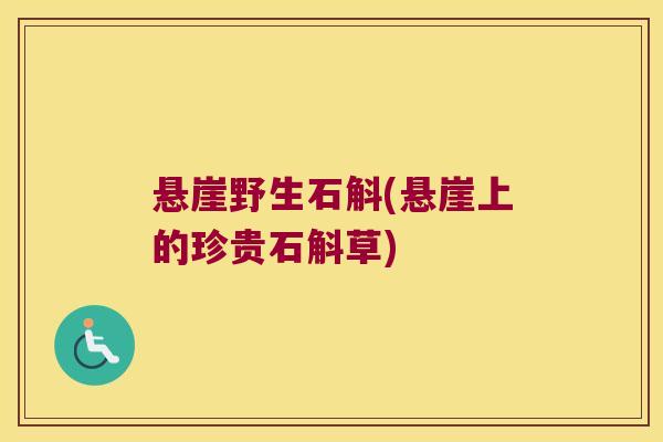 悬崖野生石斛(悬崖上的珍贵石斛草)