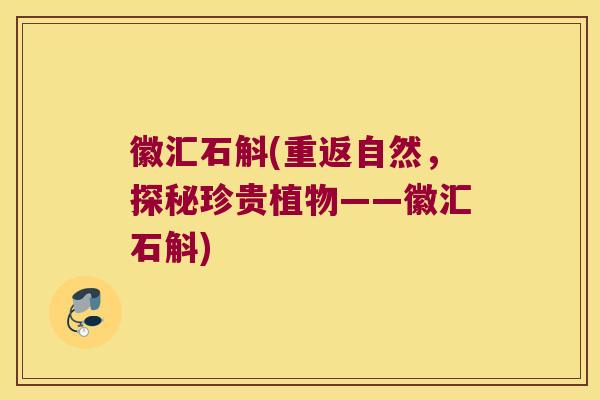 徽汇石斛(重返自然，探秘珍贵植物——徽汇石斛)