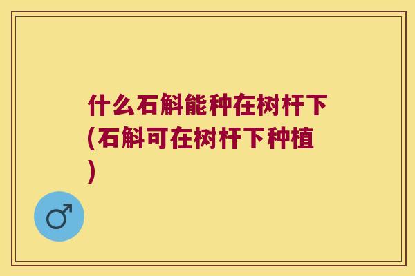 什么石斛能种在树杆下(石斛可在树杆下种植)