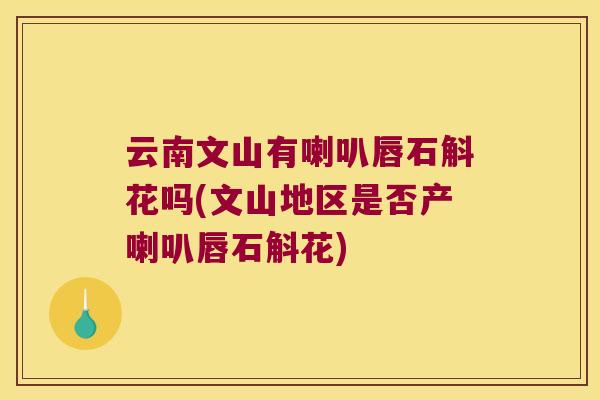 云南文山有喇叭唇石斛花吗(文山地区是否产喇叭唇石斛花)