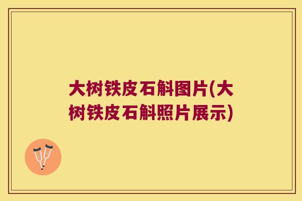 大树铁皮石斛图片(大树铁皮石斛照片展示)