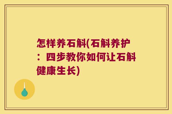 怎样养石斛(石斛养护：四步教你如何让石斛健康生长)