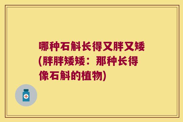 哪种石斛长得又胖又矮(胖胖矮矮：那种长得像石斛的植物)