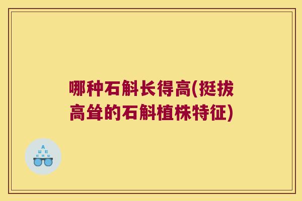 哪种石斛长得高(挺拔高耸的石斛植株特征)