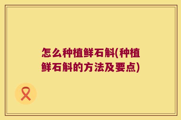怎么种植鲜石斛(种植鲜石斛的方法及要点)