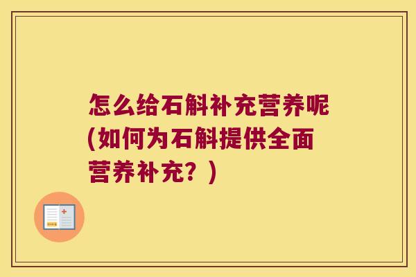怎么给石斛补充营养呢(如何为石斛提供全面营养补充？)