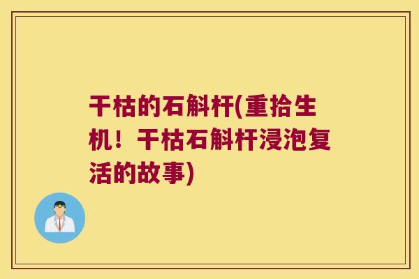 干枯的石斛杆(重拾生机！干枯石斛杆浸泡复活的故事)