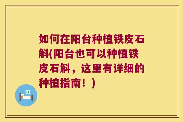 如何在阳台种植铁皮石斛(阳台也可以种植铁皮石斛，这里有详细的种植指南！)