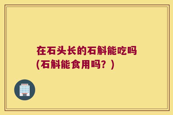在石头长的石斛能吃吗(石斛能食用吗？)