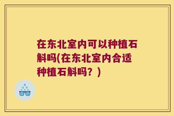 在东北室内可以种植石斛吗(在东北室内合适种植石斛吗？)